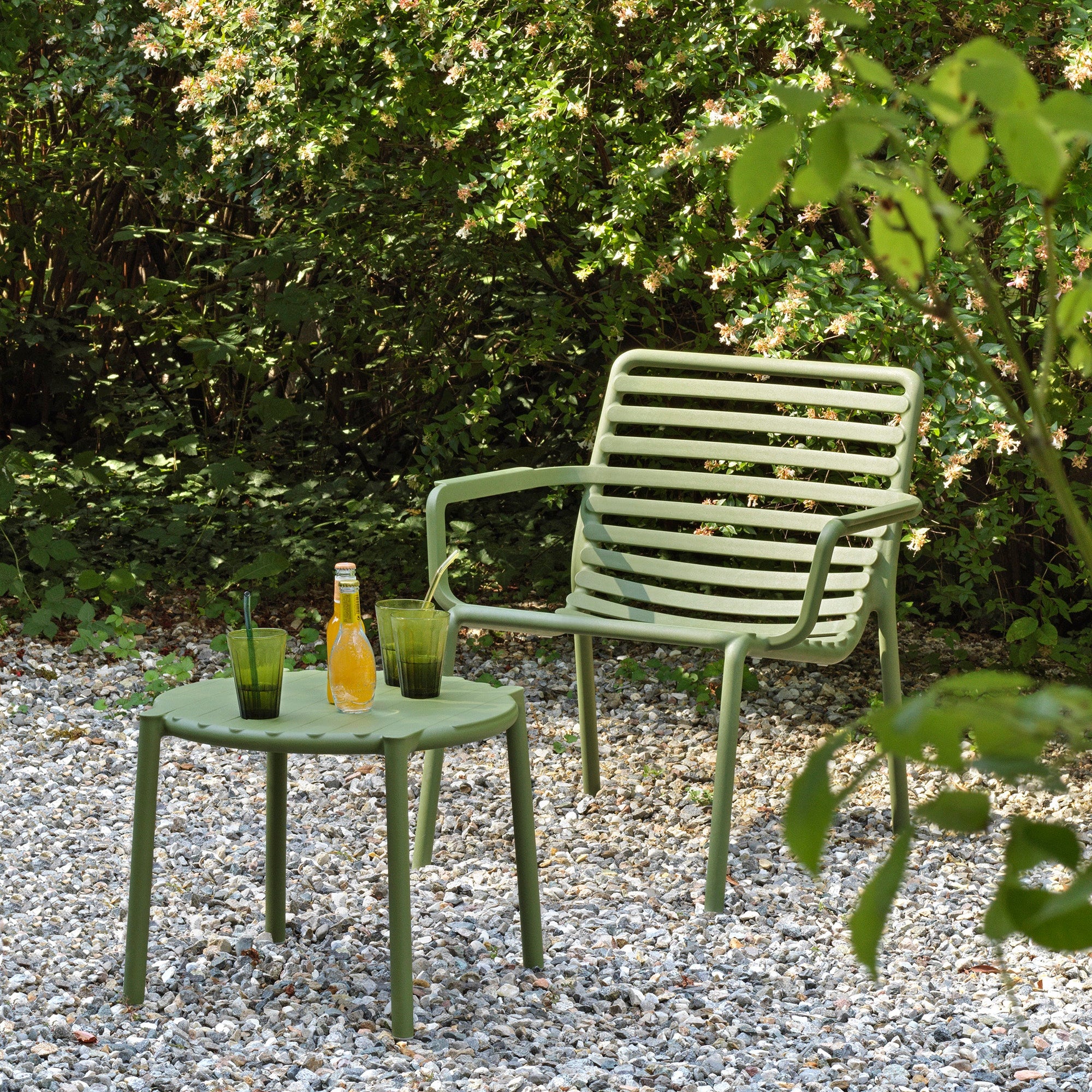 Mesa Doga Agave