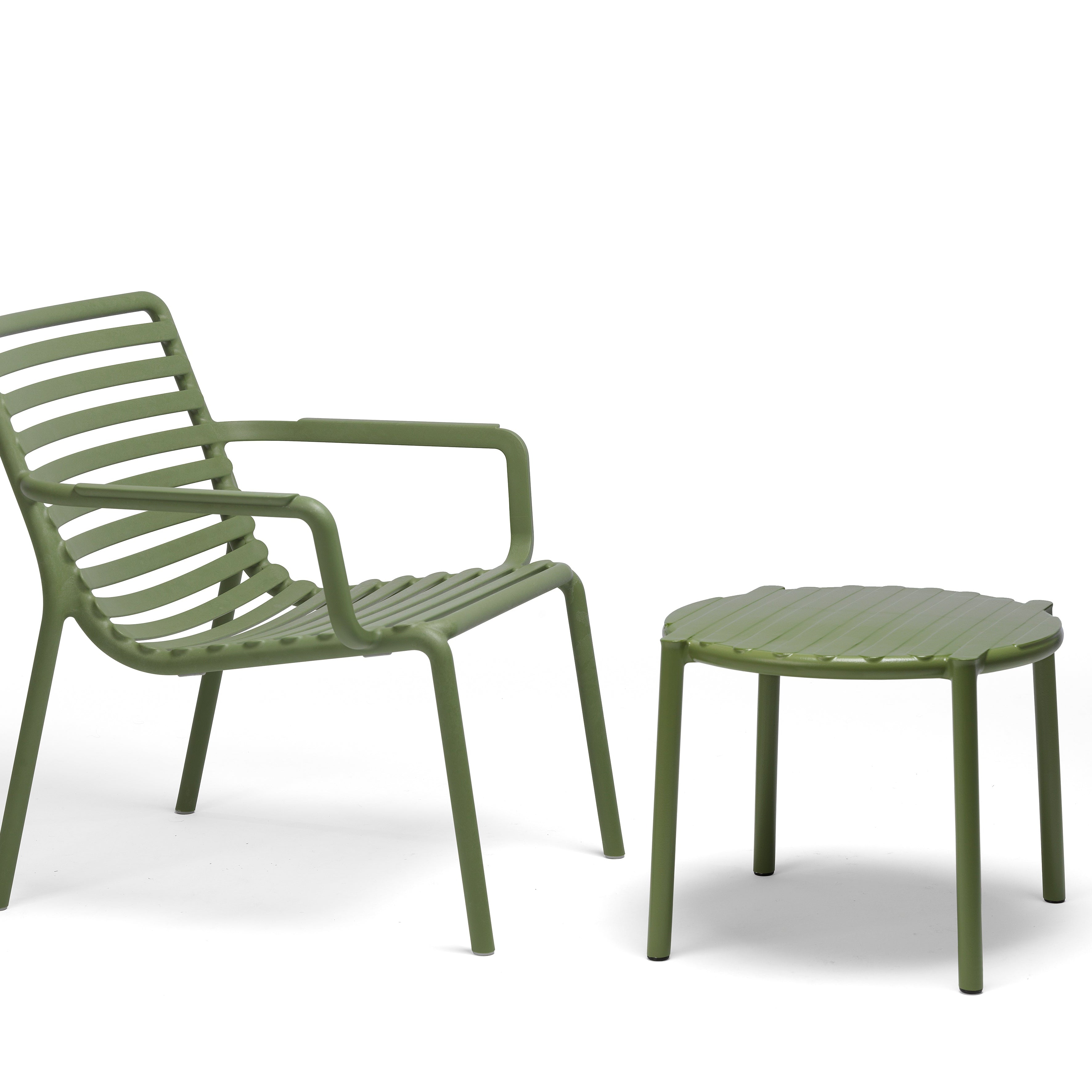 Mesa Doga Agave
