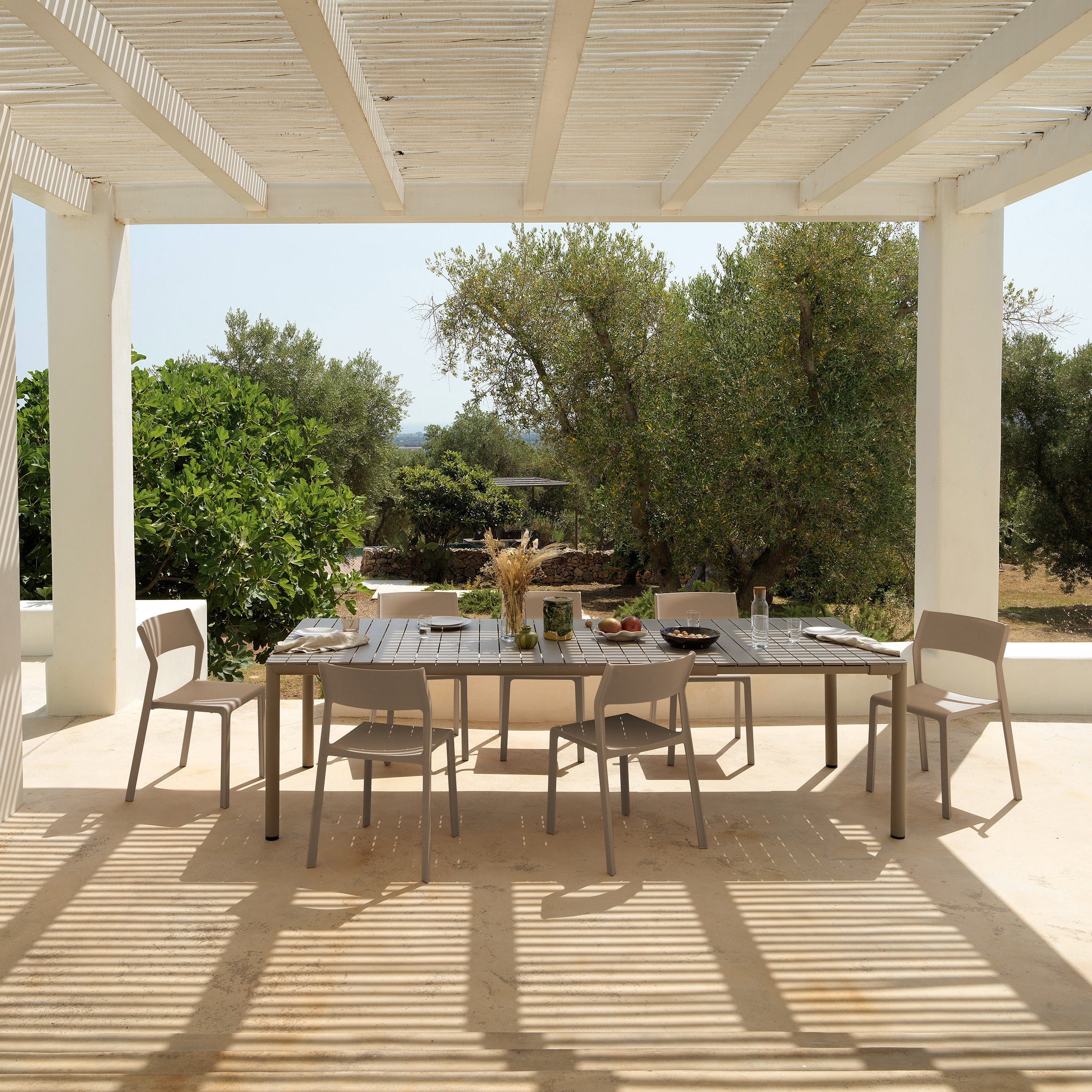 Silla Trill Tortora