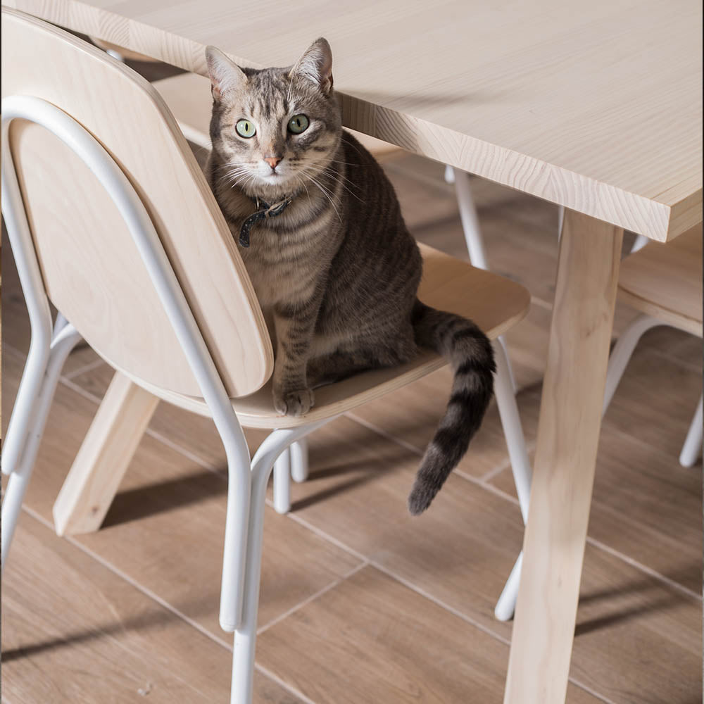 Silla Aula Natural - Medular Diseño Silla