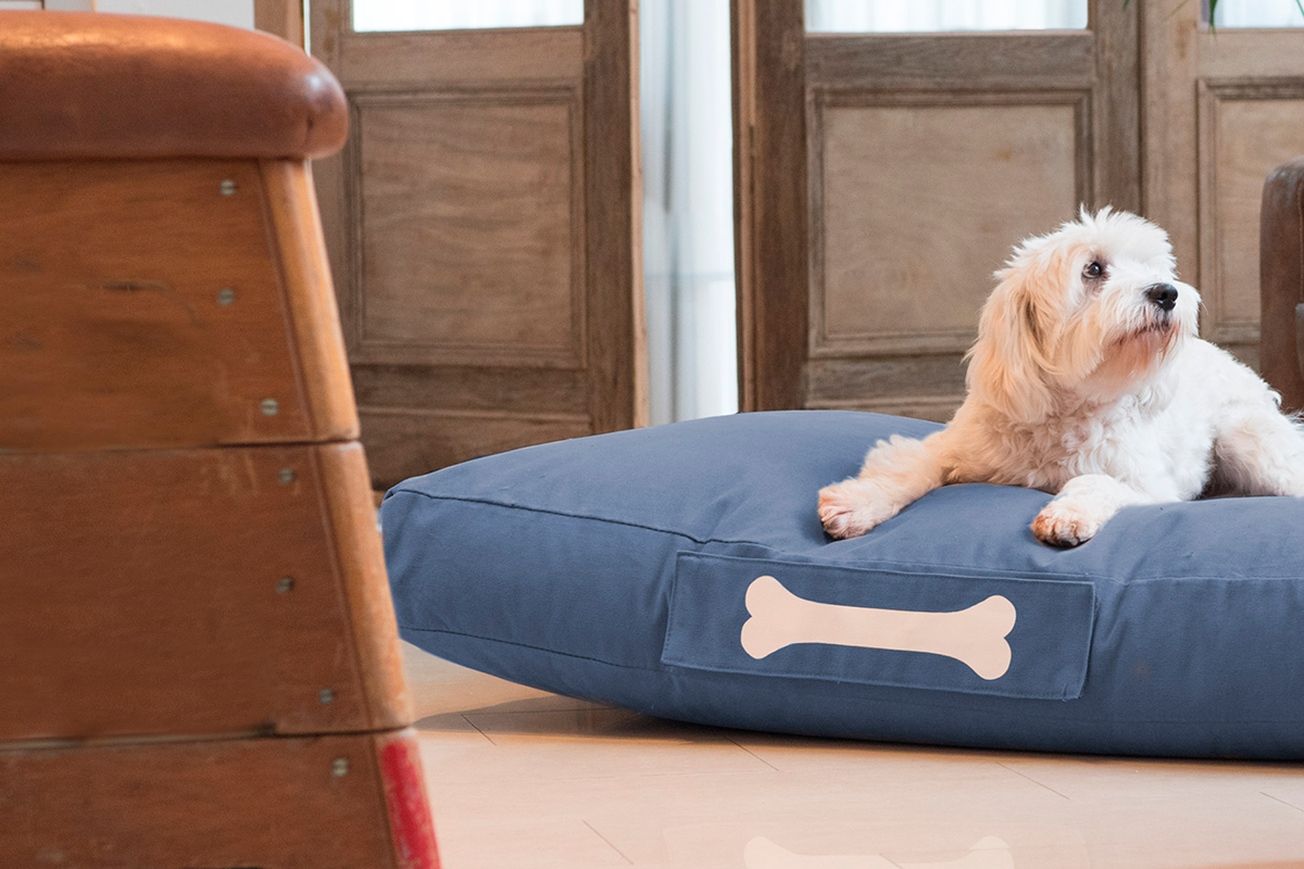 Cama de perro Doggielounge Small Stonewashed dark blue - Medular Diseño Cama para perros