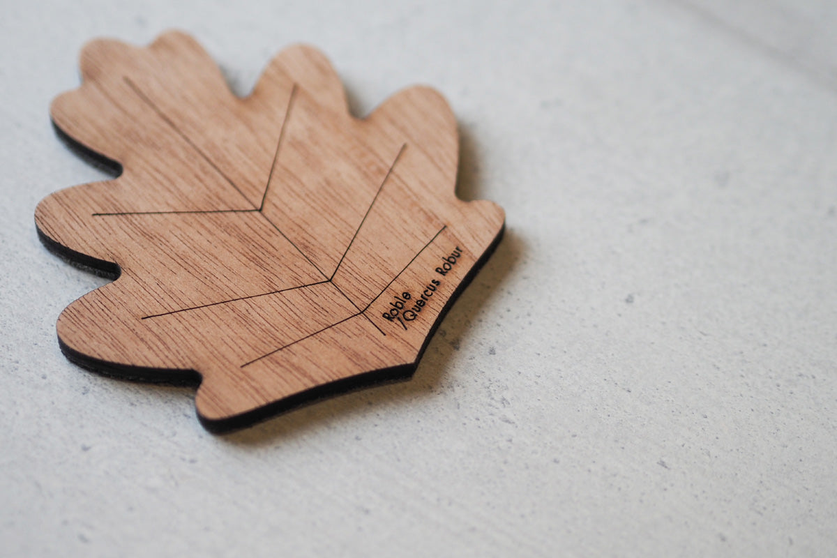 Posavasos Hojas del Mundo - Medular Diseño Accesorios