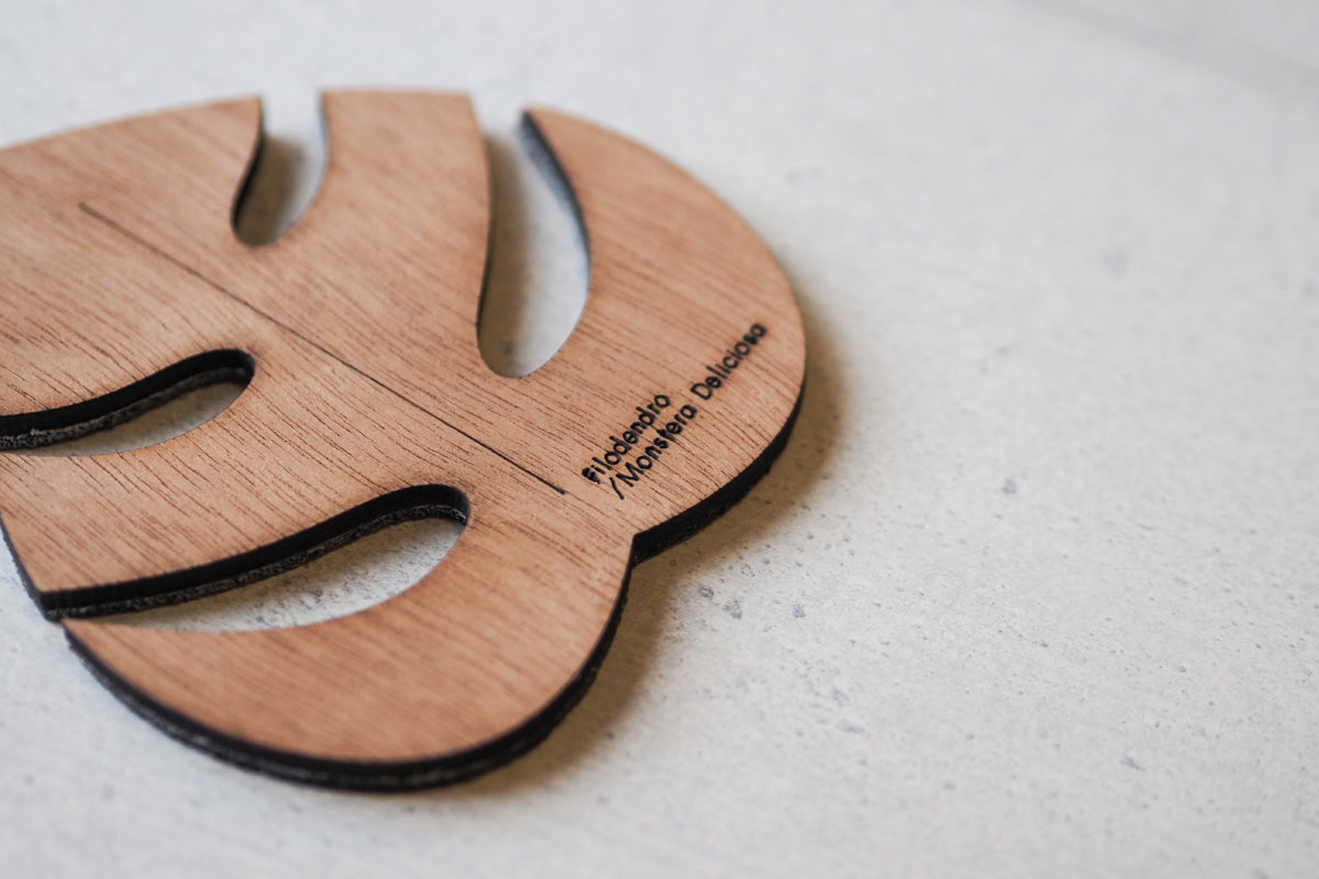 Posavasos Hojas del Mundo - Medular Diseño Accesorios