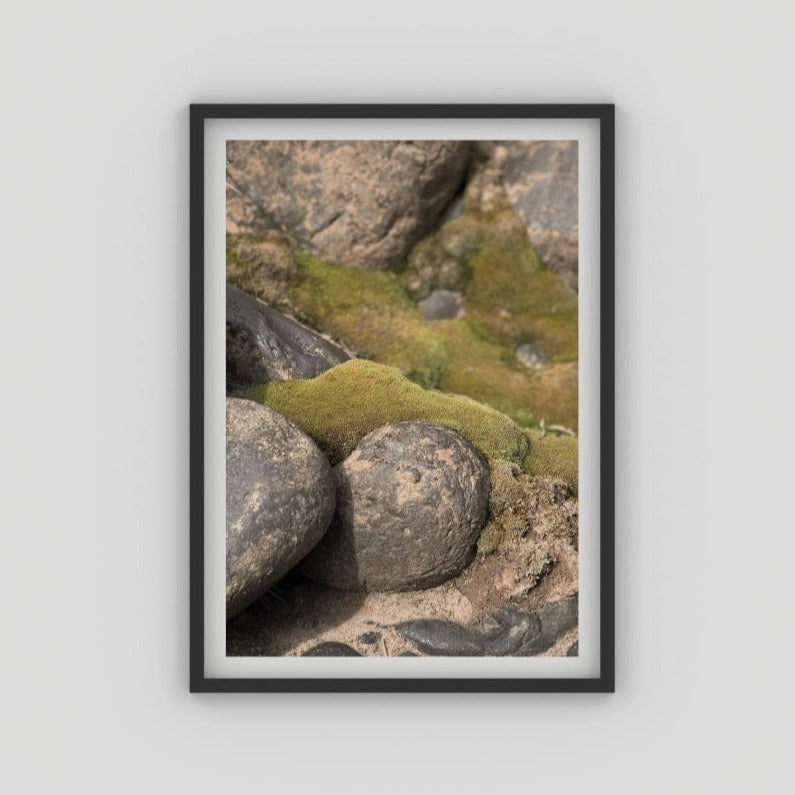 Cuadro Estudio Musgo y Piedra por Pablo Llanquin - Medular Diseño Cuadros