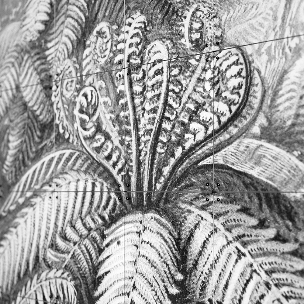 Mural IXXI Ferns - Large - Medular Diseño IXXI Design