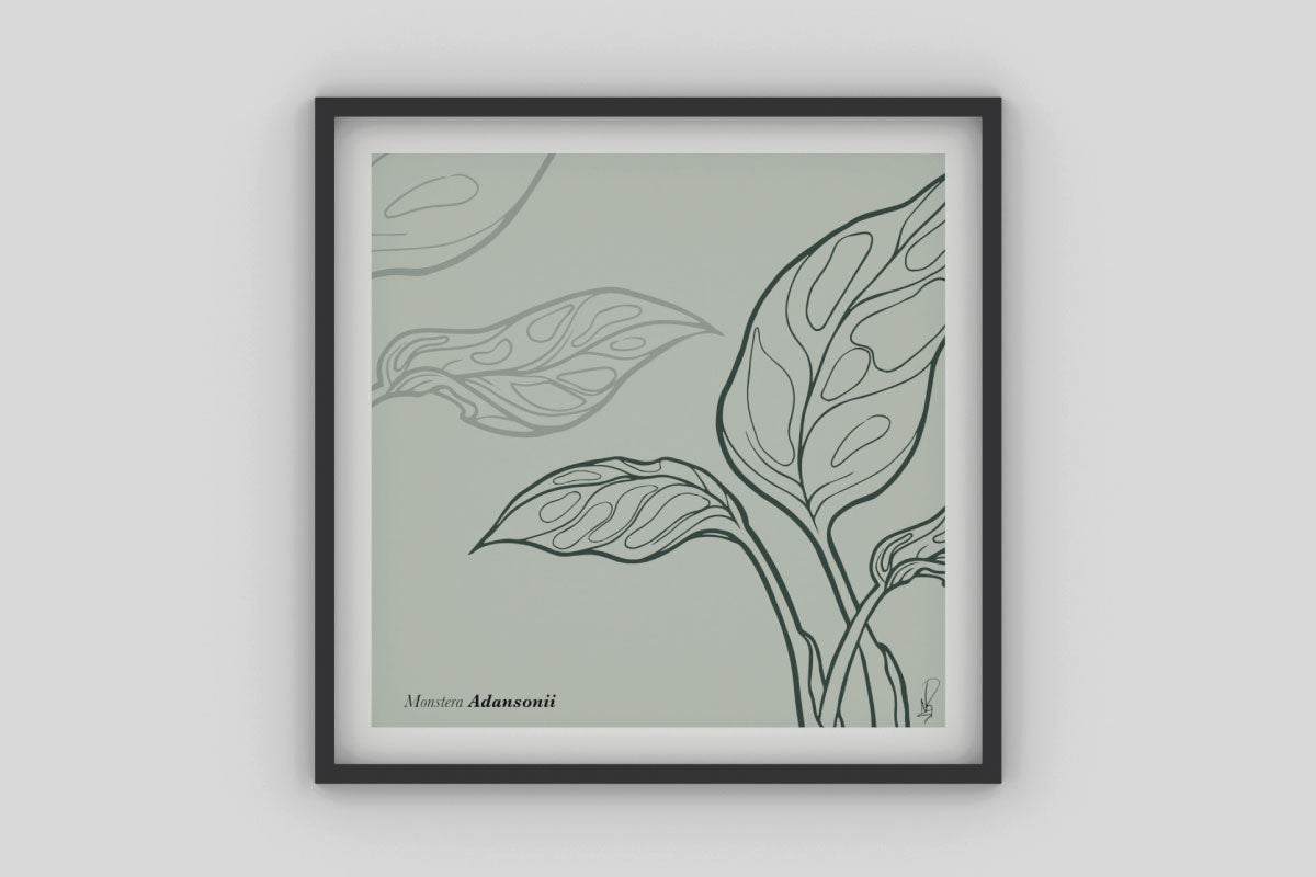 Cuadro Monstera Adansonii (Dark sea green) por Nicolás Romero