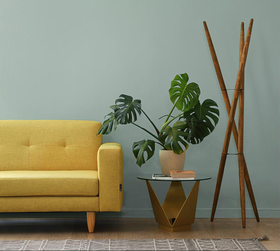 Perchero Triwu Nogal - Medular Diseño Perchero