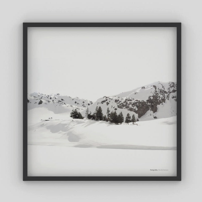 Cuadro Paso Pehuenche por Nicolás Romero - Medular Diseño Cuadros