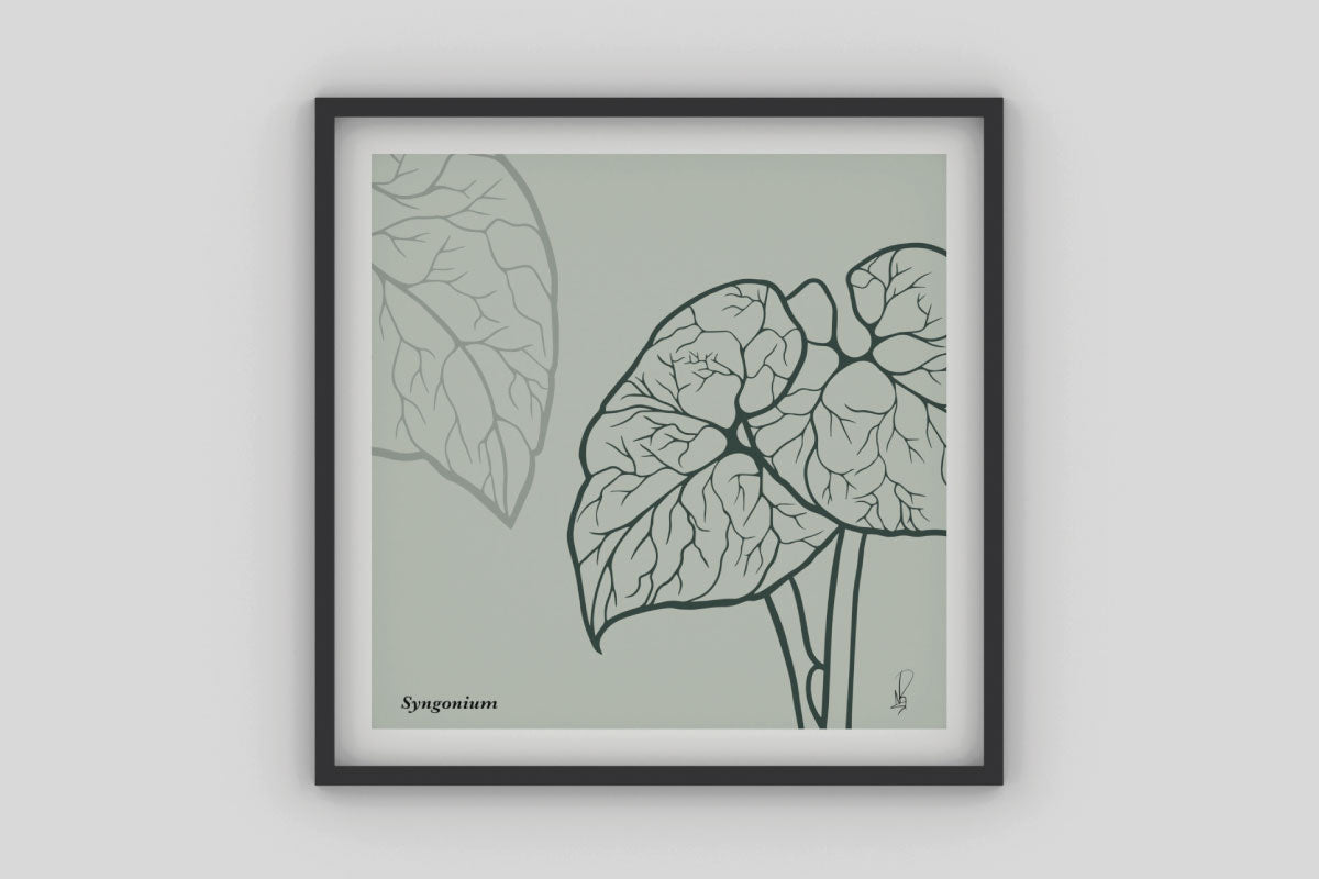 Cuadro Syngonium (Dark sea green) por Nicolás Romero - Medular Diseño Cuadros