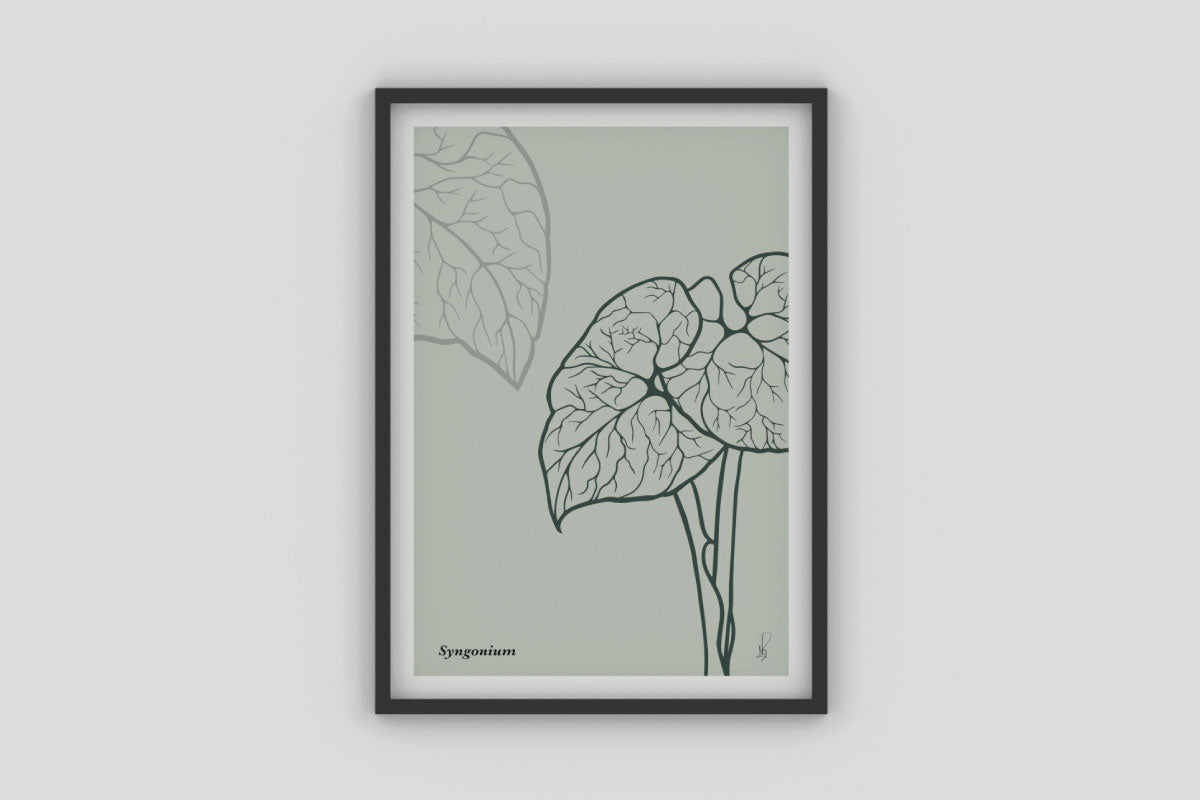 Cuadro Syngonium (Dark sea green) por Nicolás Romero