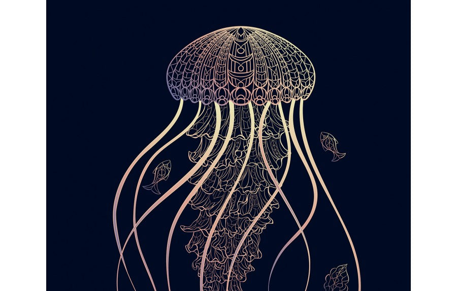 Cuadro Jellyfish - Medular Diseño Cuadros