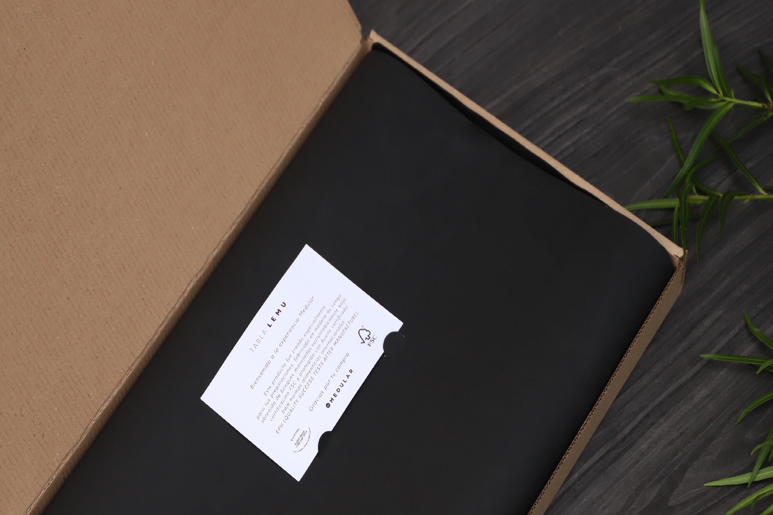 Tabla A02 - Medular Diseño Accesorios