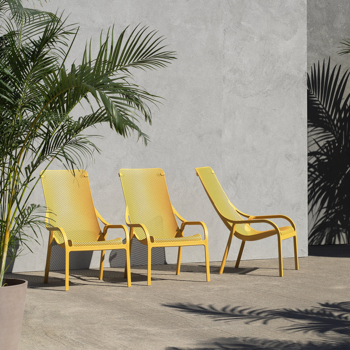 Sillon Net Lounge Senape