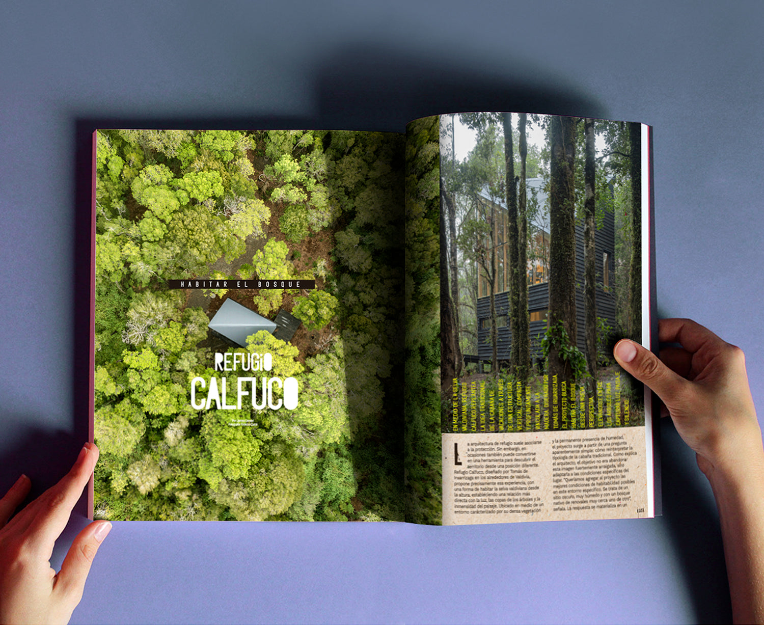 Revista Ambientes N° 169 - Con Sello de Autor