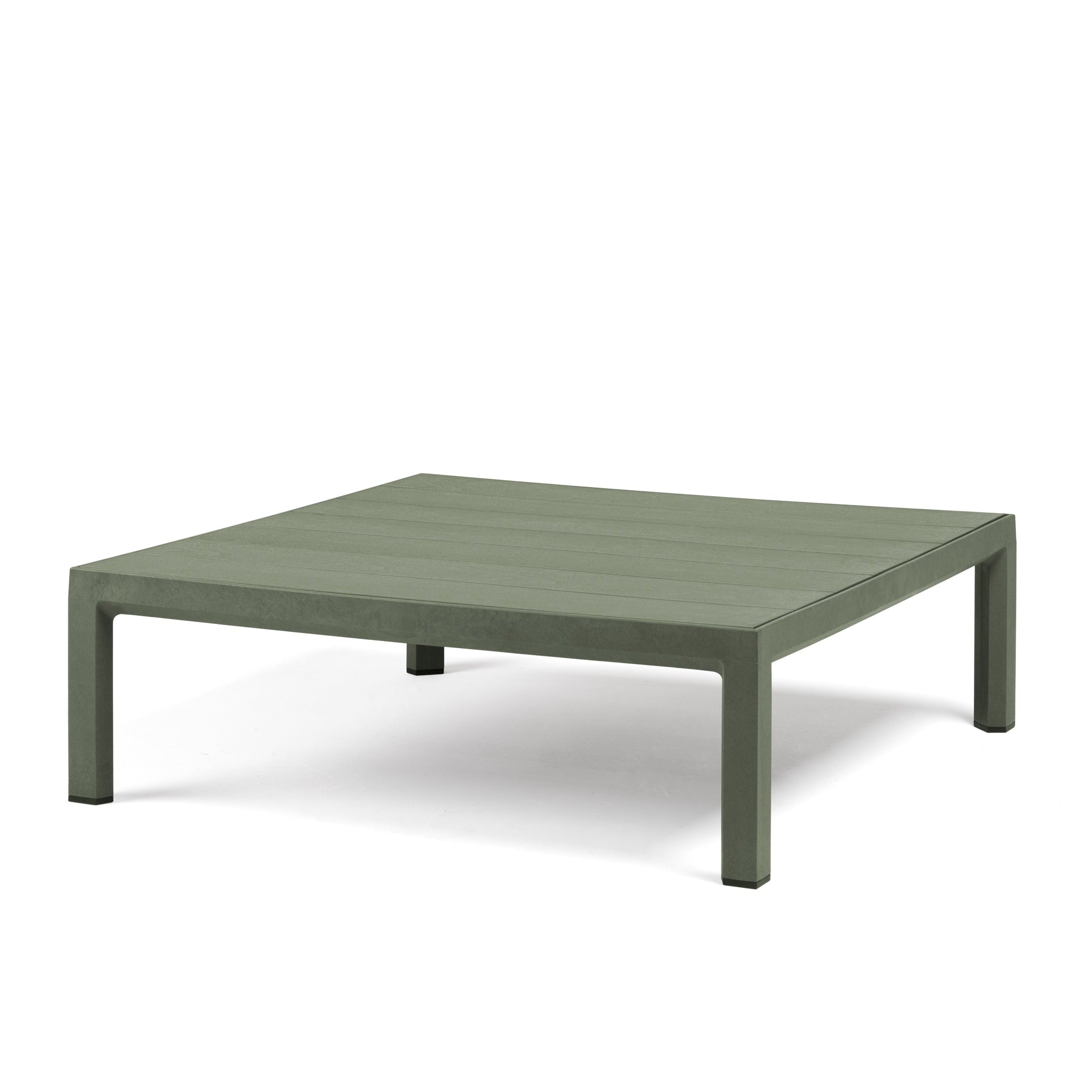 Mesa Maximo - Cactus