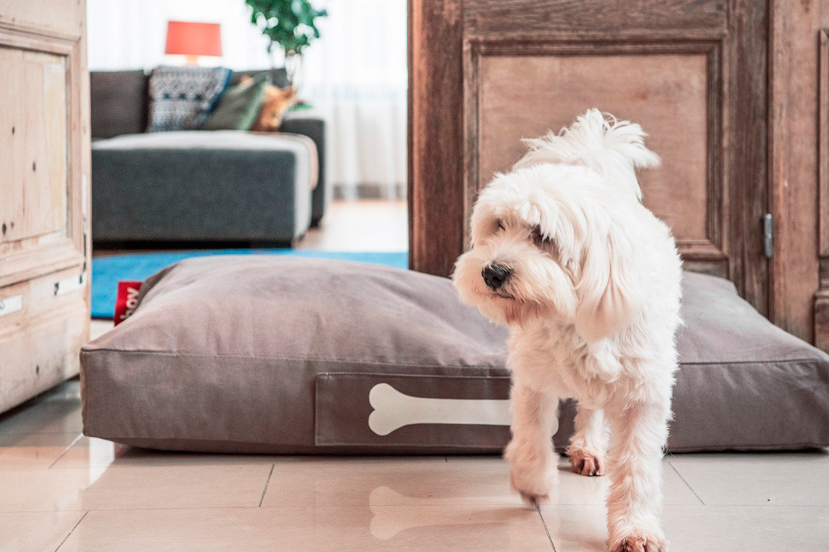 Cama de perro Fatboy Doggielounge Large Stonewashed Dark Blue