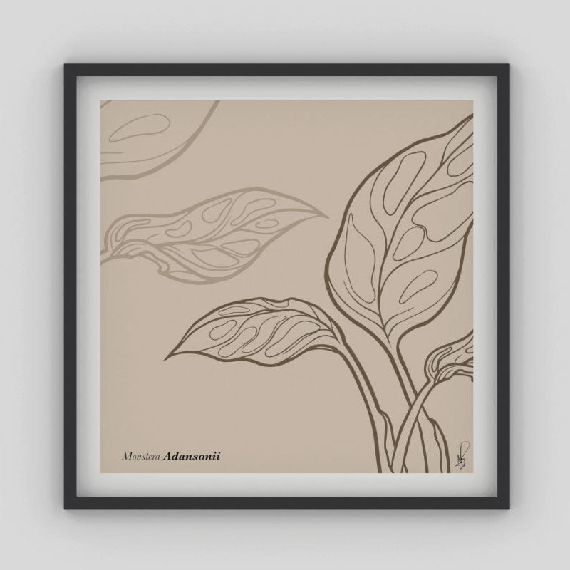 Cuadro Monstera Adansonii (Goldenrod) por Nicolás Romero - Medular Diseño Cuadros