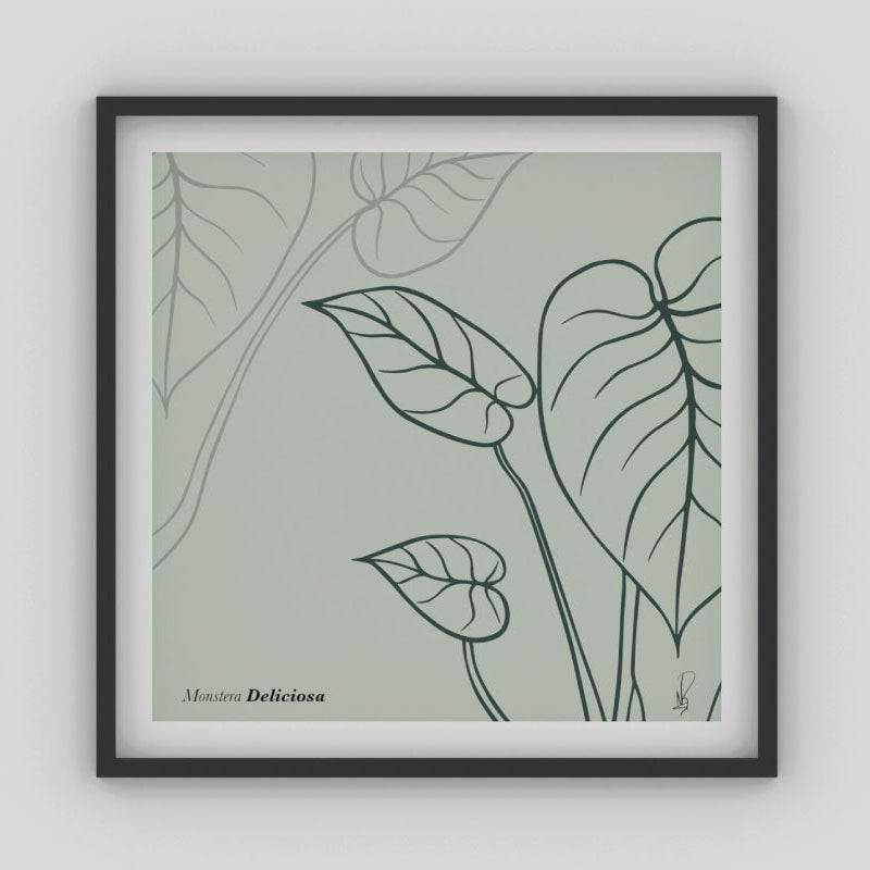 Cuadro Monstera Deliciosa (Dark sea green) por Nicolás Romero - Medular Diseño Cuadros