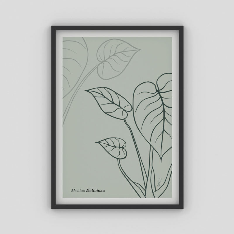 Cuadro Monstera Deliciosa (Dark sea green) por Nicolás Romero - Medular Diseño Cuadros