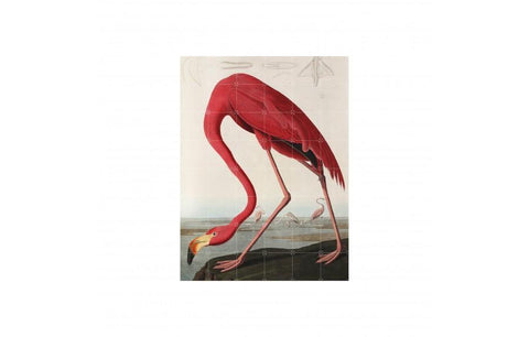 Flamingo - Large