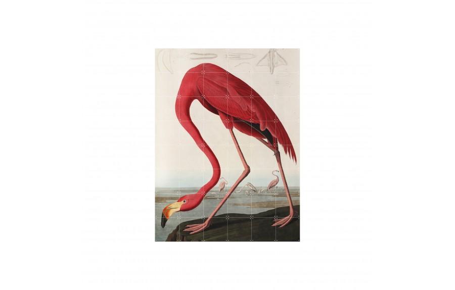 Mural Flamingo Auduban
